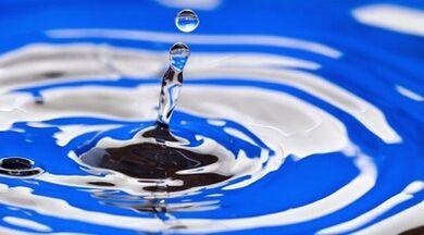 салмақ жоғалту үшін ішу диетасының мәні